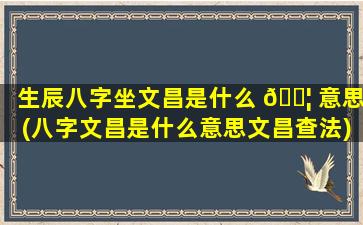 生辰八字坐文昌是什么 🐦 意思(八字文昌是什么意思文昌查法)